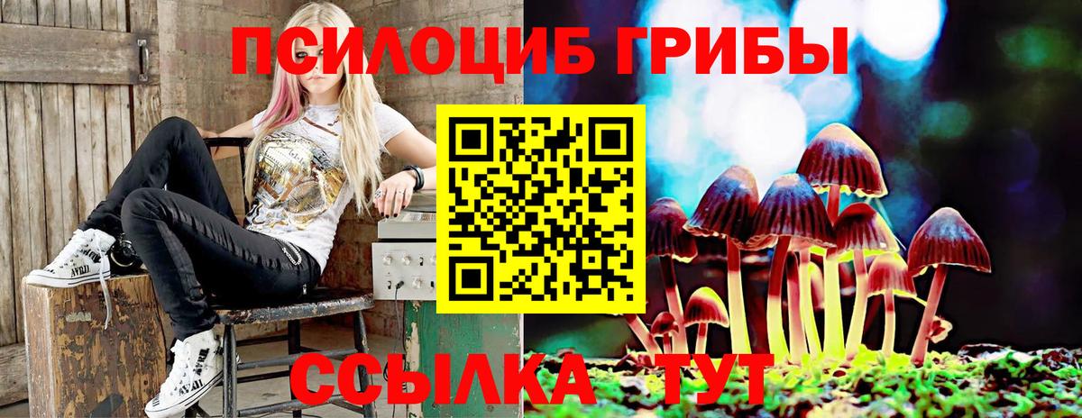 Галлюциногенные грибы GOLDEN TEACHER  Вход с VPN  купить   Александров  Галлюциногенные грибы Psilocybine cubensis 
